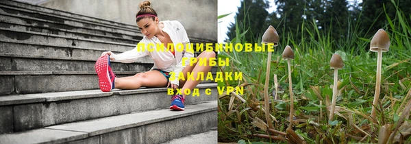 твердый Абинск
