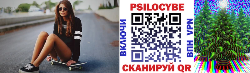 даркнет сайт  Новочебоксарск  ОМГ ОМГ вход  Псилоцибиновые грибы Cubensis 
