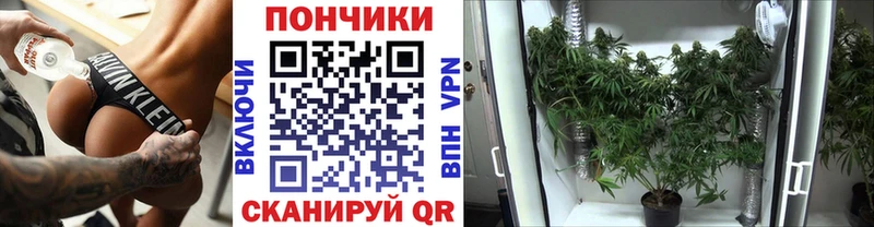 наркота  Новочебоксарск  Канабис SATIVA & INDICA 